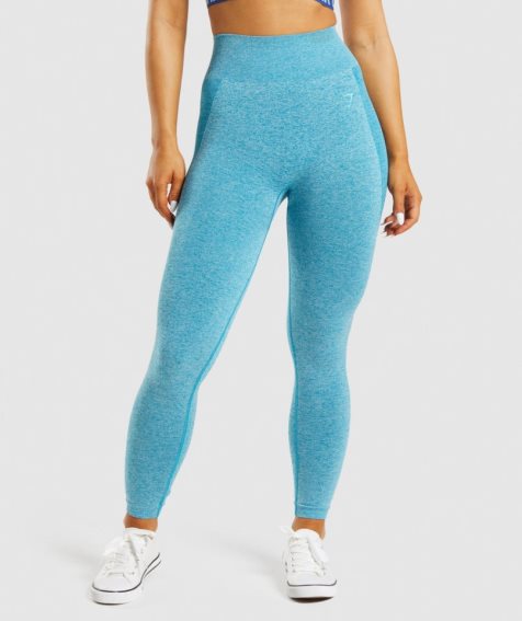 Women's Gymshark Flex High Waisted Leggings Blue | NZ 8YDXAW